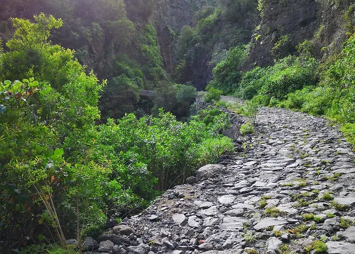 Phoenix Διαμέρισμα Ελ Μέντανο
