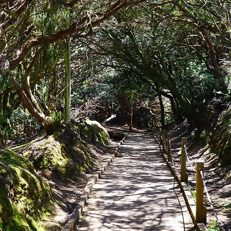 Phoenix Apartament *