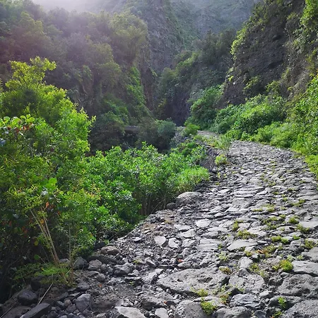Phoenix Apartament El Médano