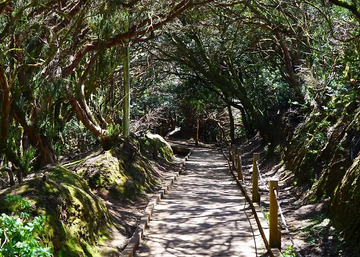 Phoenix Διαμέρισμα *